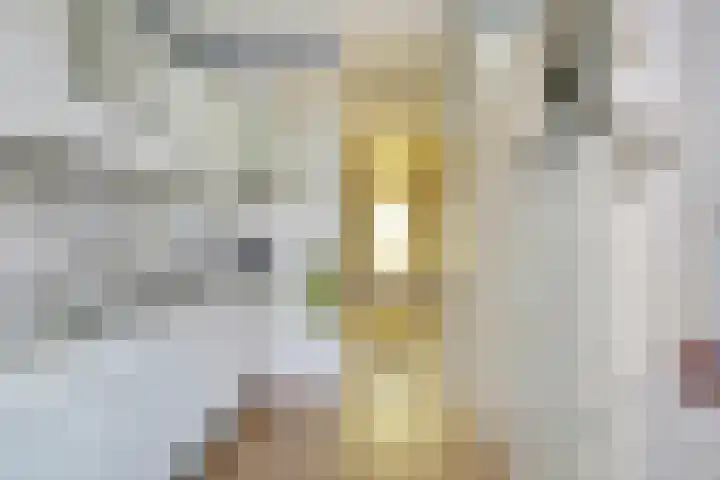 Prof ten Doesschatestraat 81 Heemskerk thumbnail 8
