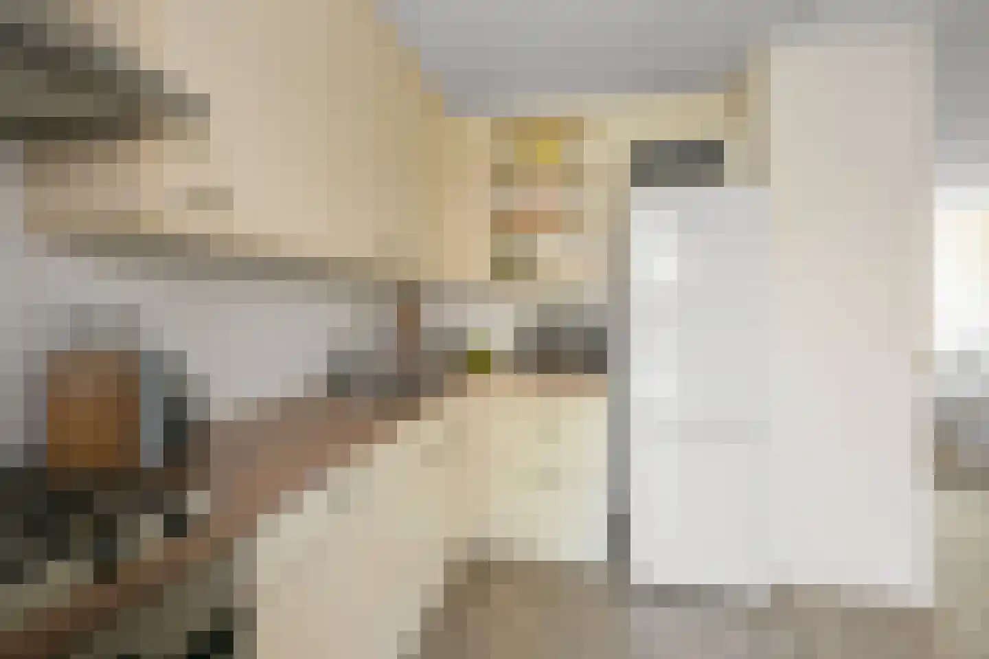Prof ten Doesschatestraat 91 Heemskerk thumbnail 10