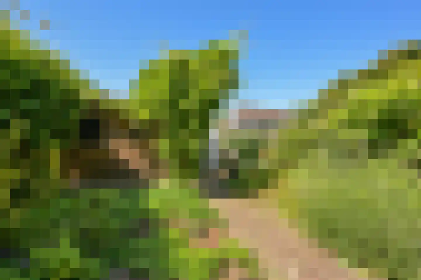 Prof ten Doesschatestraat 91 Heemskerk thumbnail 17