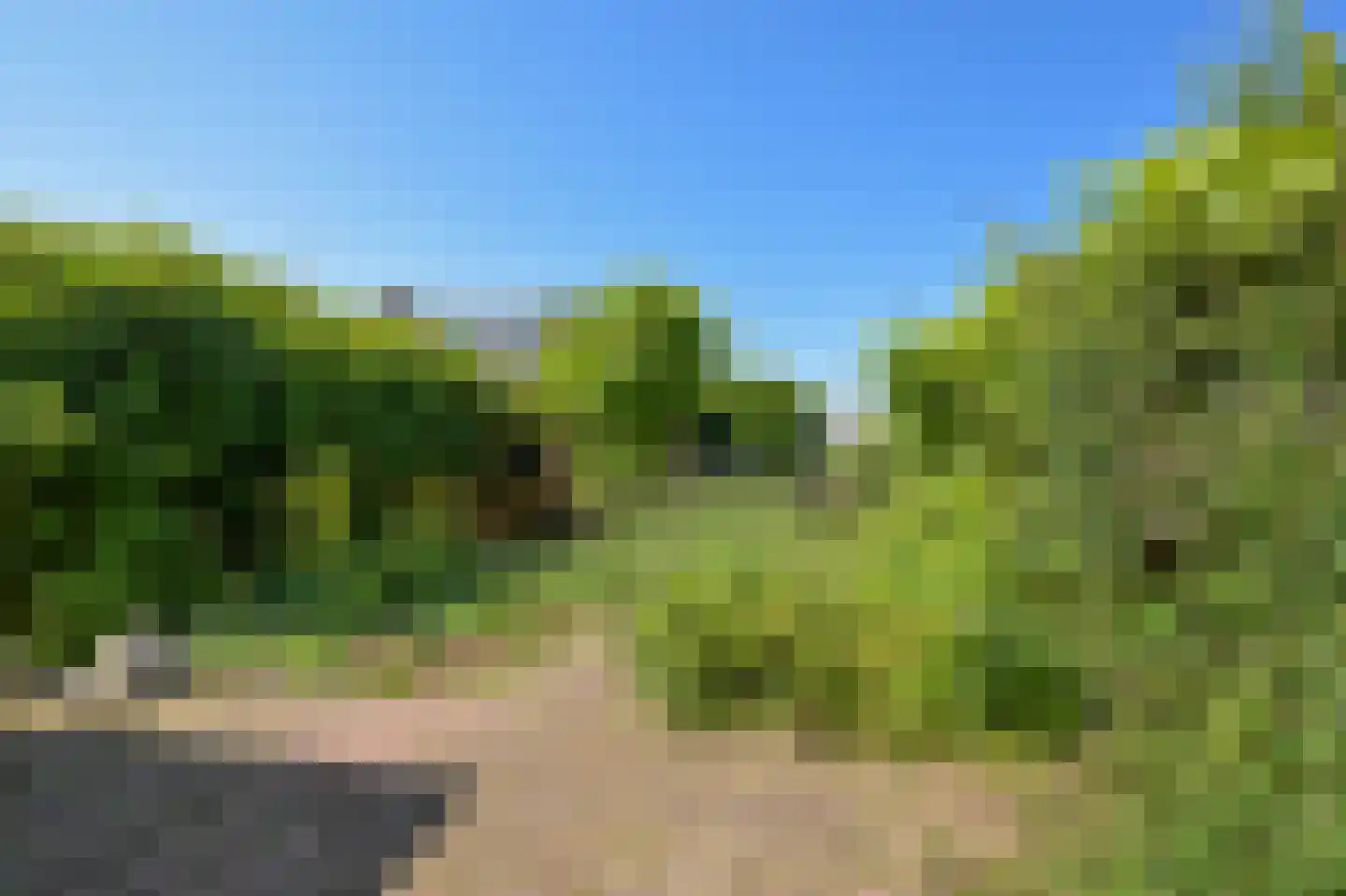 Prof ten Doesschatestraat 91 Heemskerk thumbnail 18