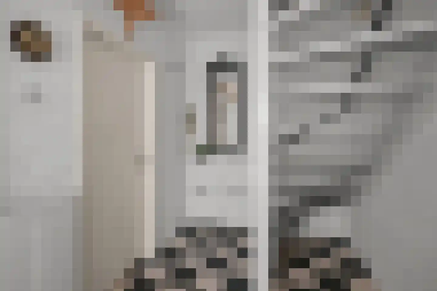 Prof ten Doesschatestraat 91 Heemskerk thumbnail 23