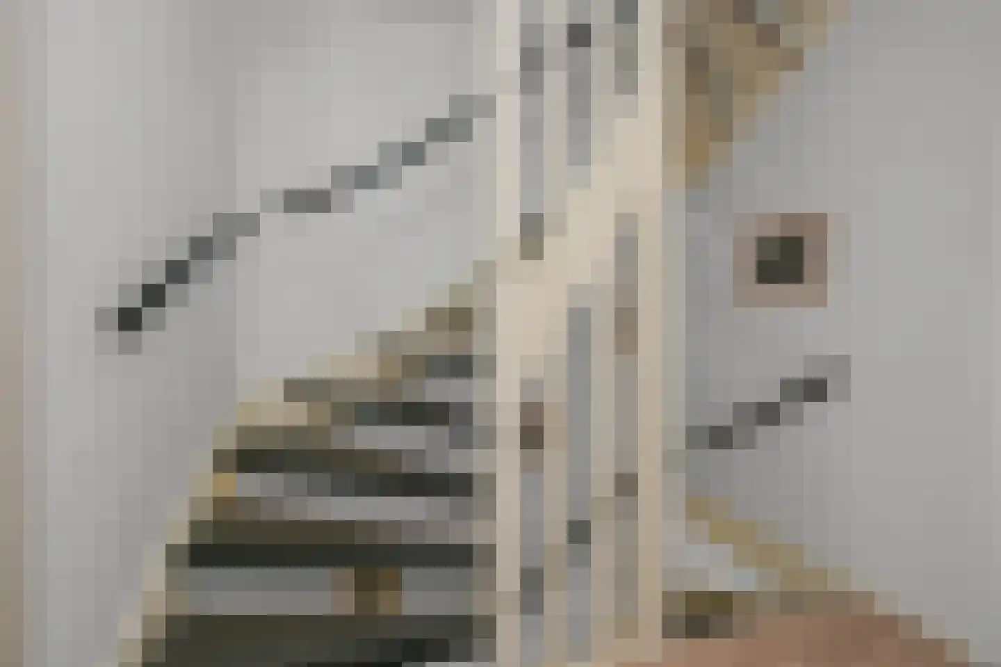 Prof ten Doesschatestraat 91 Heemskerk thumbnail 24