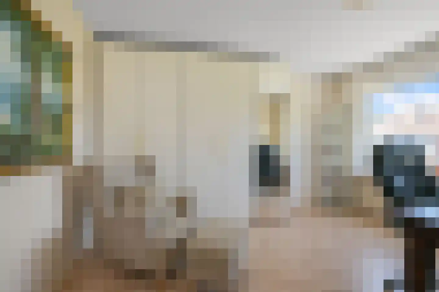 Prof ten Doesschatestraat 91 Heemskerk thumbnail 27