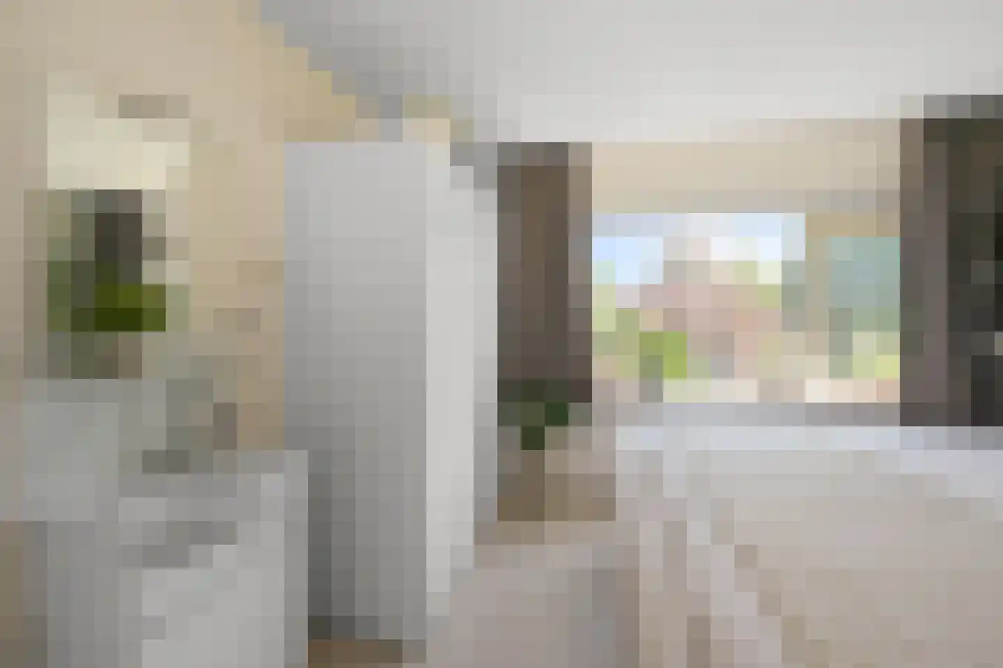Prof ten Doesschatestraat 91 Heemskerk thumbnail 35