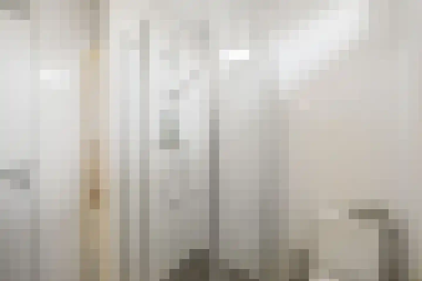 Prof ten Doesschatestraat 91 Heemskerk thumbnail 36