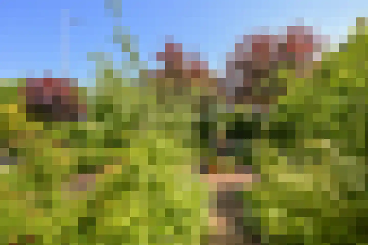 Prof ten Doesschatestraat 91 Heemskerk thumbnail 4