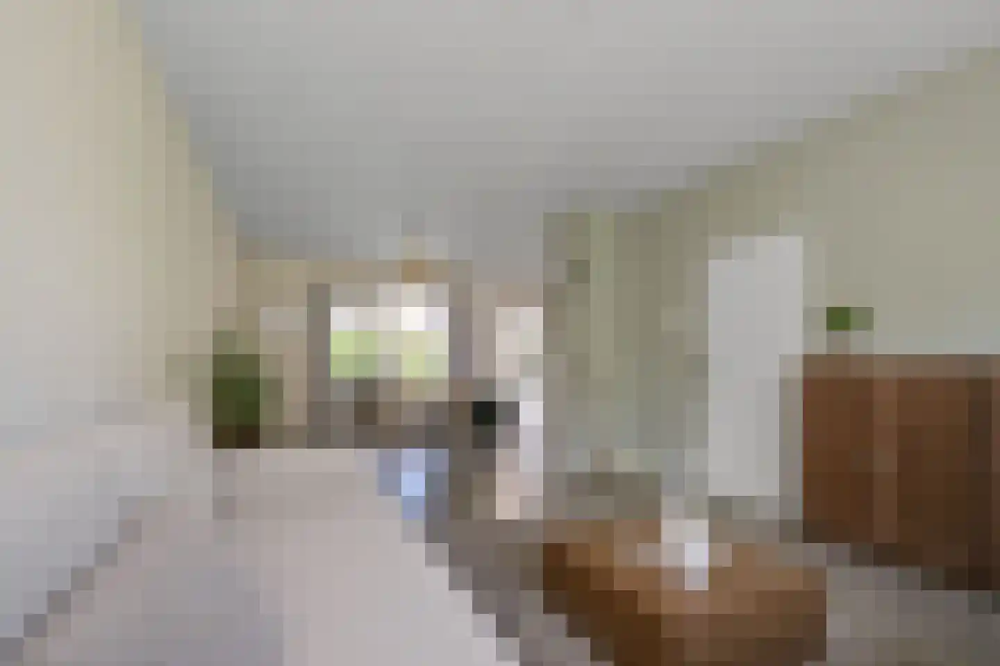 Prof ten Doesschatestraat 91 Heemskerk thumbnail 5