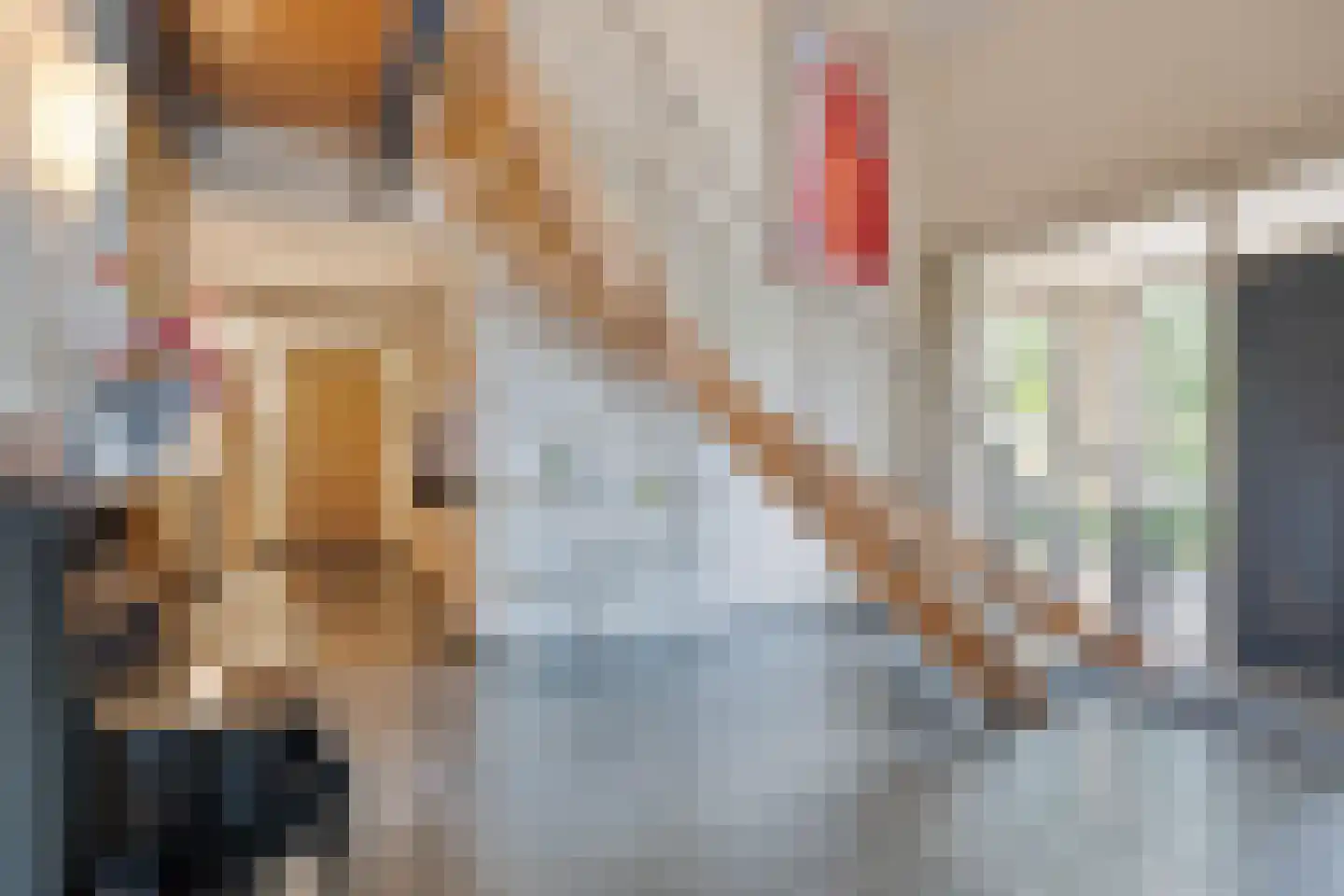 Prof. ter Veenstraat 1 Emmeloord thumbnail 4
