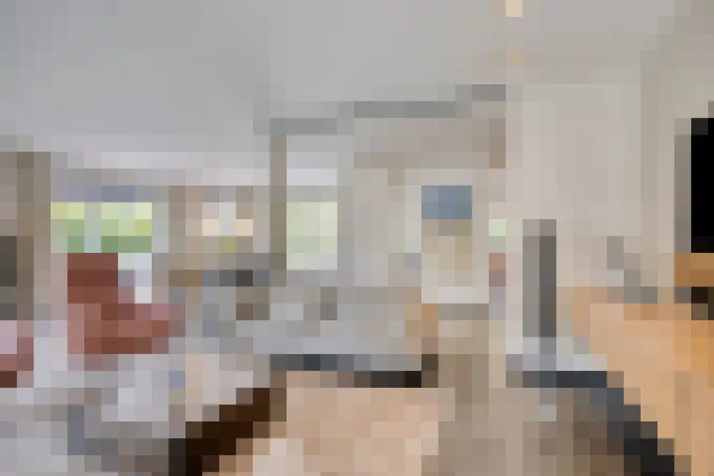 Prof. ter Veenstraat 1 Emmeloord thumbnail 6