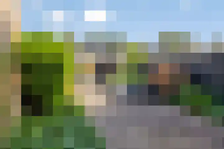 Prof. ter Veenstraat 37 Emmeloord thumbnail 19