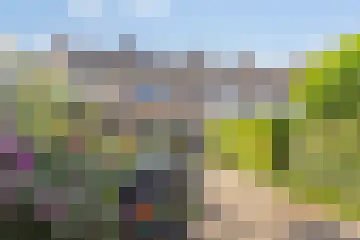 Prof. ter Veenstraat 37 Emmeloord thumbnail 23