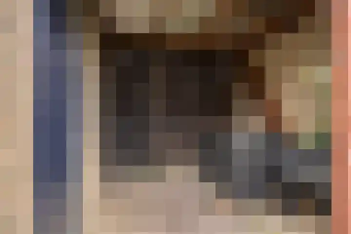 Prof. ter Veenstraat 37 Emmeloord thumbnail 24