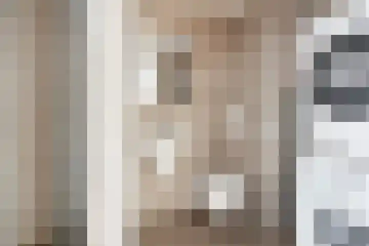 Prof. ter Veenstraat 37 Emmeloord thumbnail 28