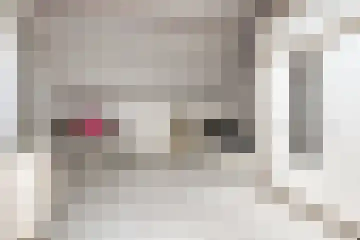 Prof. ter Veenstraat 37 Emmeloord thumbnail 37