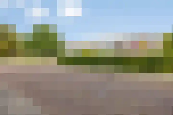 Prof. ter Veenstraat 37 Emmeloord thumbnail 39