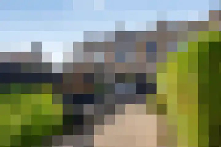 Prof. ter Veenstraat 37 Emmeloord thumbnail 4
