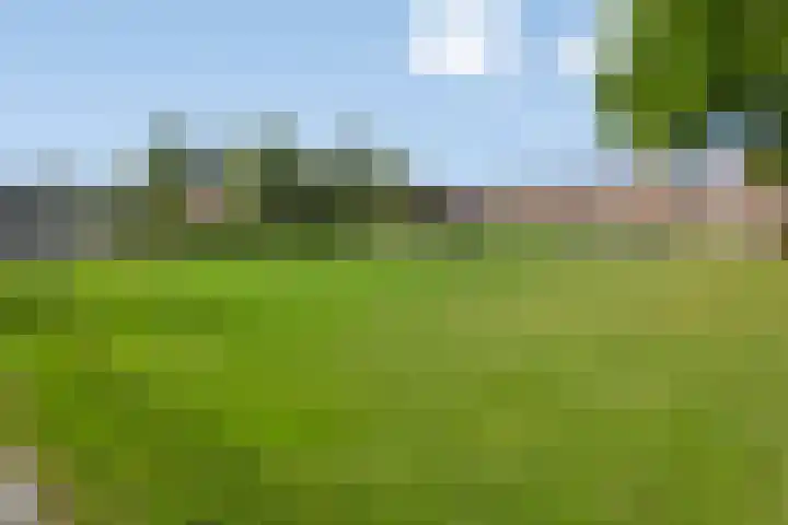 Prof. ter Veenstraat 37 Emmeloord thumbnail 40