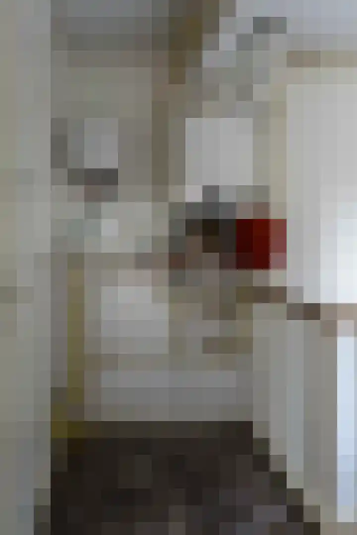 Prof. ter Veenstraat 74 Emmeloord thumbnail 41