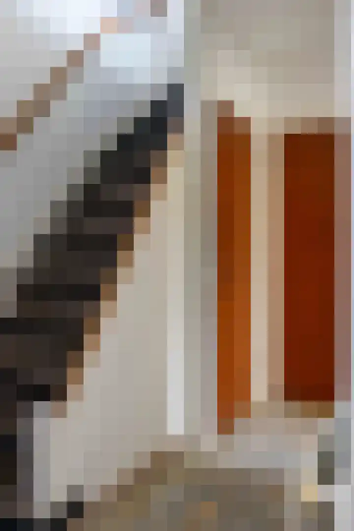 Prof. ter Veenstraat 74 Emmeloord thumbnail 6