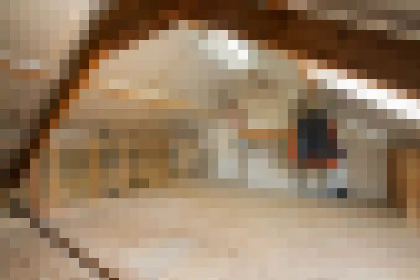 Prof. ter Veenstraat 87 Emmeloord thumbnail 29