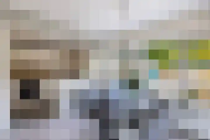 Prof. ter Veenstraat 93 Emmeloord thumbnail 13