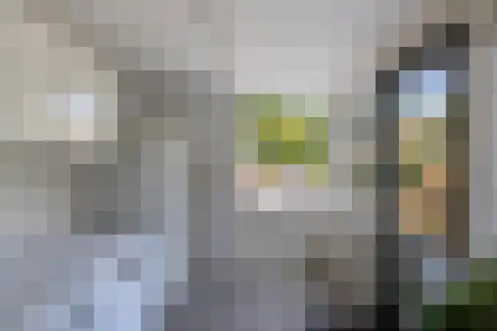 Prof. ter Veenstraat 93 Emmeloord thumbnail 16