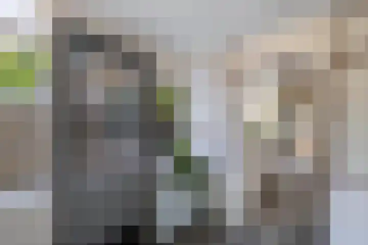 Prof. ter Veenstraat 93 Emmeloord thumbnail 17