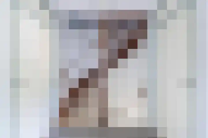 Prof. ter Veenstraat 93 Emmeloord thumbnail 18