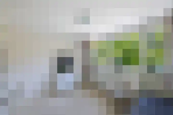 Prof. ter Veenstraat 93 Emmeloord thumbnail 20