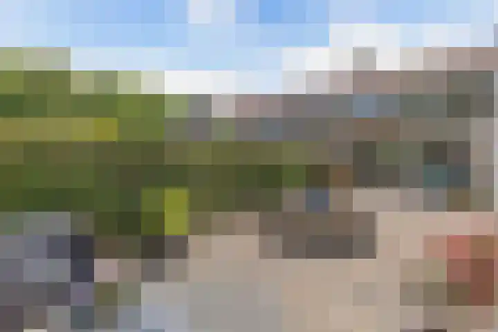 Prof. ter Veenstraat 93 Emmeloord thumbnail 38