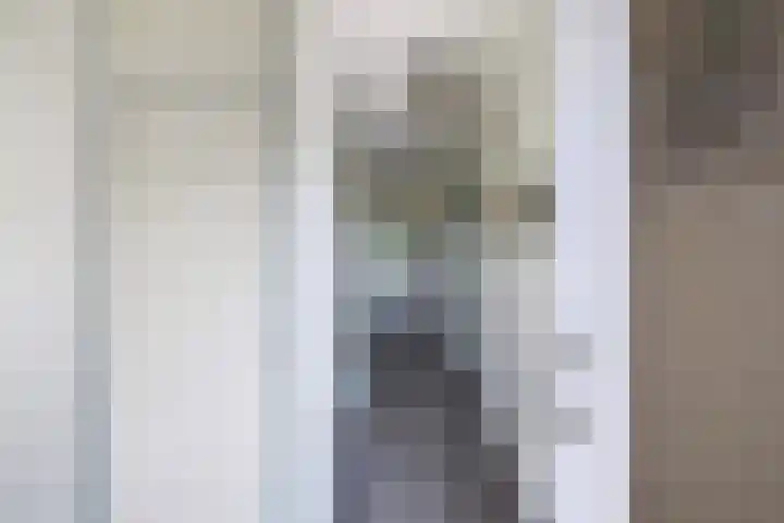 Prof. ter Veenstraat 93 Emmeloord thumbnail 4