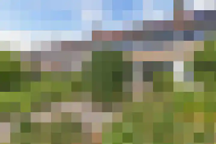 Prof. ter Veenstraat 93 Emmeloord thumbnail 43