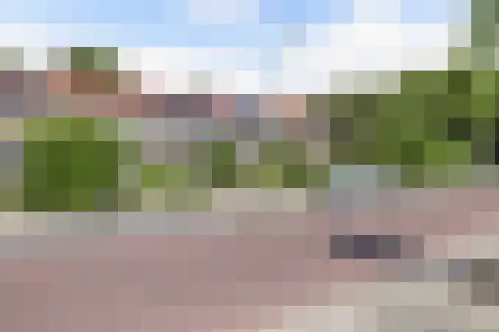 Prof. ter Veenstraat 93 Emmeloord thumbnail 44