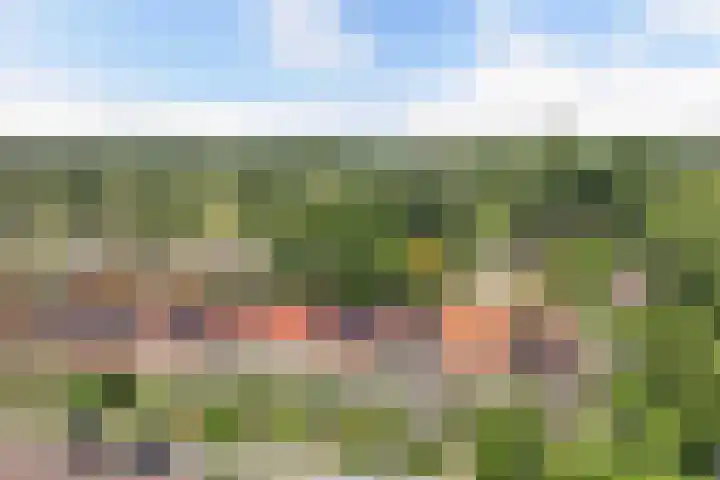 Prof. ter Veenstraat 93 Emmeloord thumbnail 47