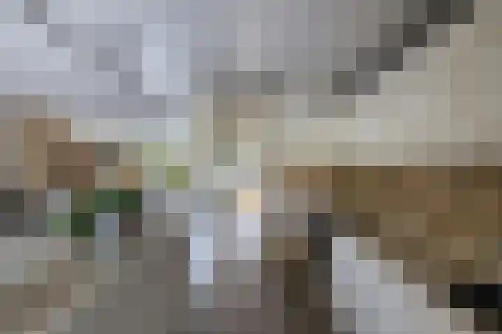 Prof. ter Veenstraat 93 Emmeloord thumbnail 7