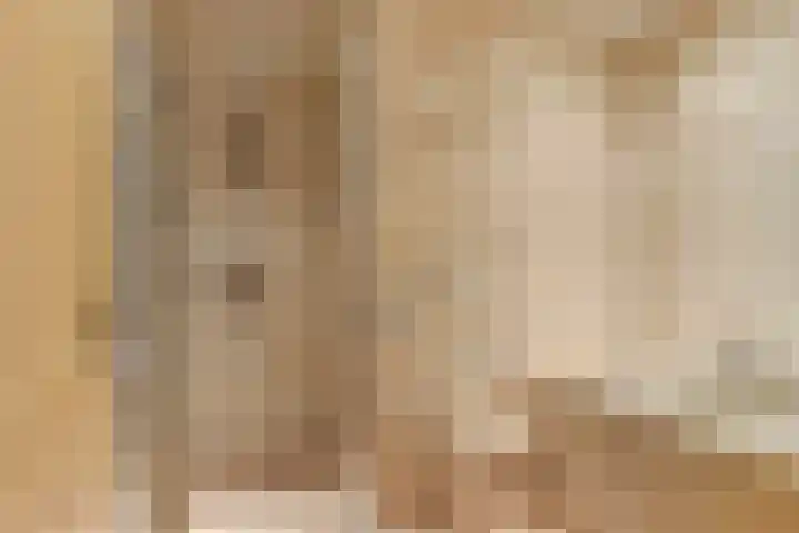 Prof. Ter Veenweg 15 Middenmeer thumbnail 19