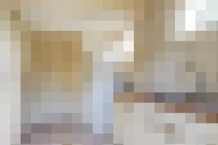 Prof. Ter Veenweg 15 Middenmeer thumbnail 27