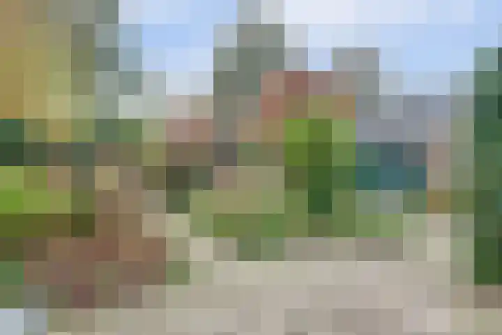 Prof. Ter Veenweg 15 Middenmeer thumbnail 31
