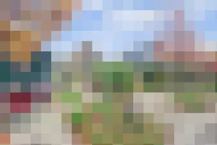 Prof. Ter Veenweg 15 Middenmeer thumbnail 32