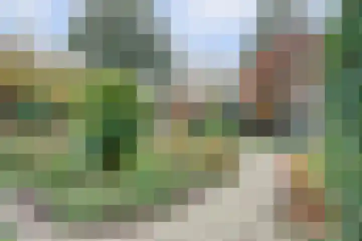 Prof. Ter Veenweg 15 Middenmeer thumbnail 33