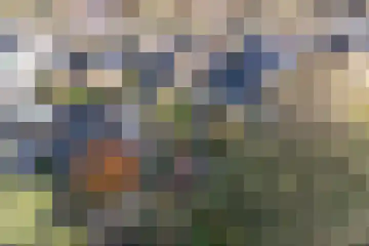 Prof. Ter Veenweg 15 Middenmeer thumbnail 34