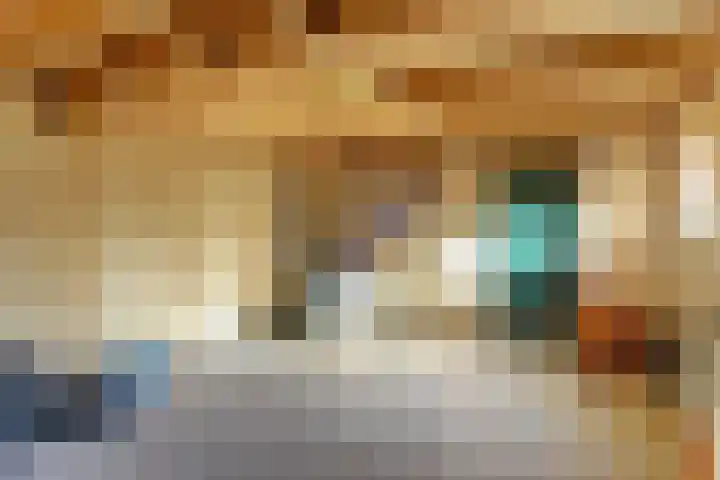 Prof. Ter Veenweg 15 Middenmeer thumbnail 35