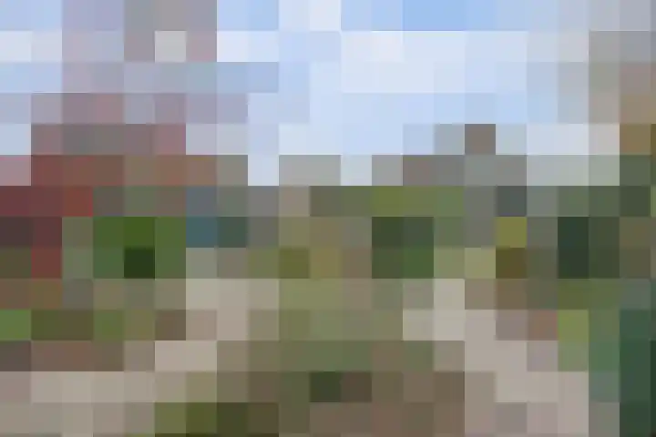 Prof. Ter Veenweg 15 Middenmeer thumbnail 4