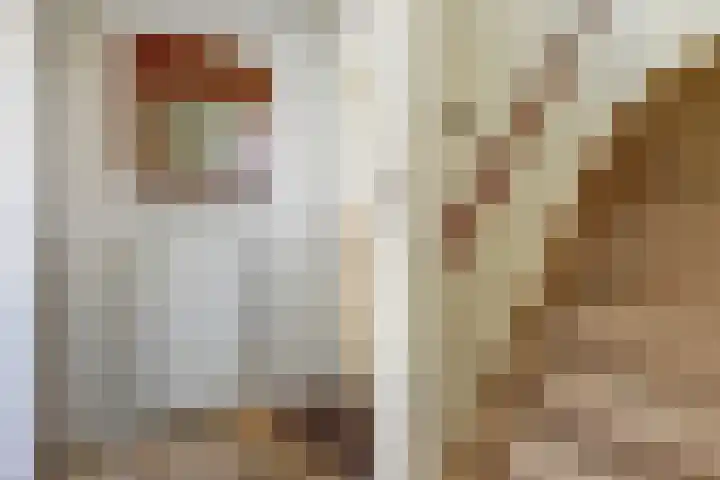 Prof. Ter Veenweg 15 Middenmeer thumbnail 7