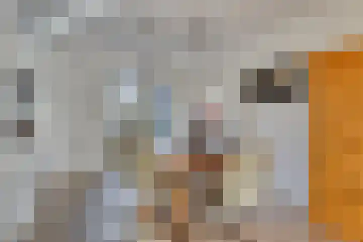 Prof. Ter Veenweg 8 Middenmeer thumbnail 11