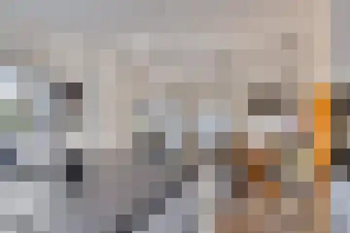 Prof. Ter Veenweg 8 Middenmeer thumbnail 12