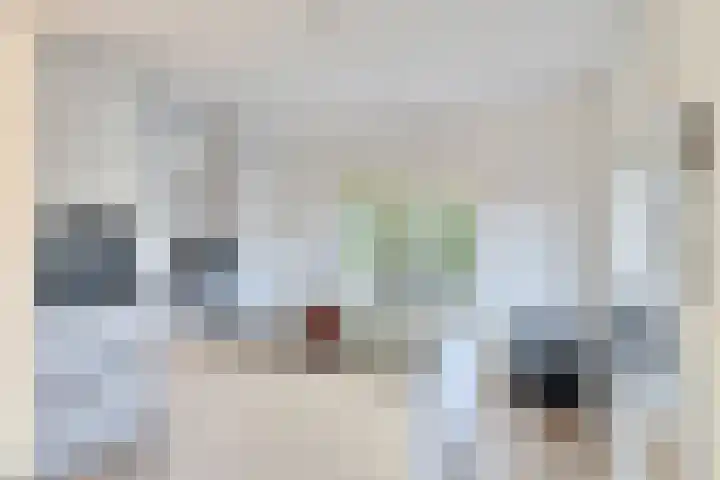 Prof. Ter Veenweg 8 Middenmeer thumbnail 13