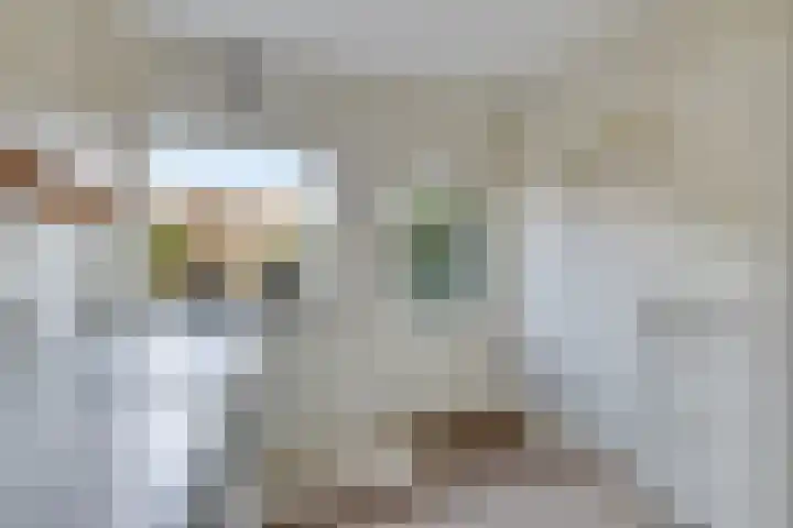 Prof. Ter Veenweg 8 Middenmeer thumbnail 17