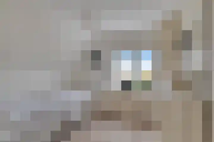 Prof. Ter Veenweg 8 Middenmeer thumbnail 22