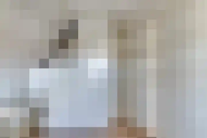 Prof. Ter Veenweg 8 Middenmeer thumbnail 24